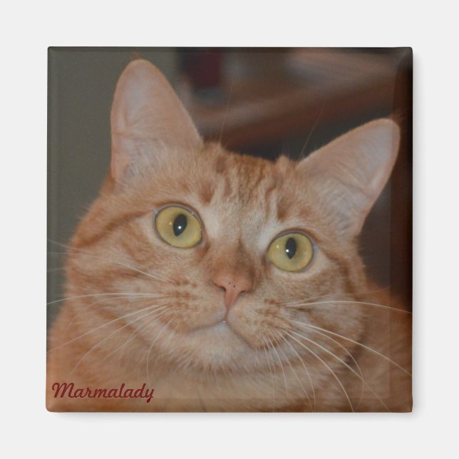 Aimant Marmalady & "Le Sourire" (Devant)