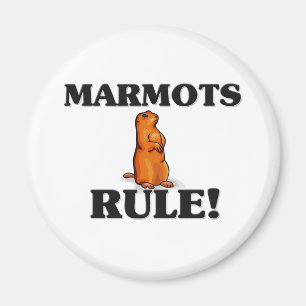 Aimant MARMOTS, la règle !