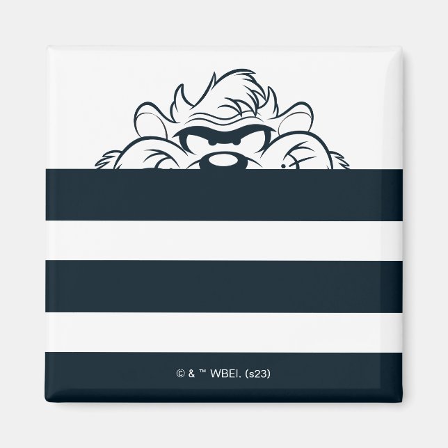 Aimant Masquage TAZ™ Dans Les Tracées (Devant)