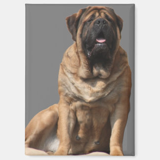 Aimant Mastiff Meilleurs amis de la fête des pères 