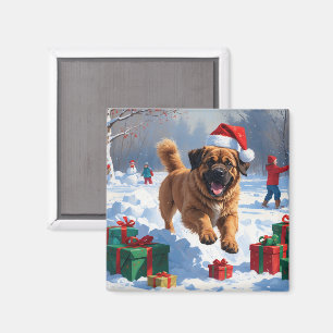 Aimant Mastiff Tibétain Courant dans la Neige avec un Cha