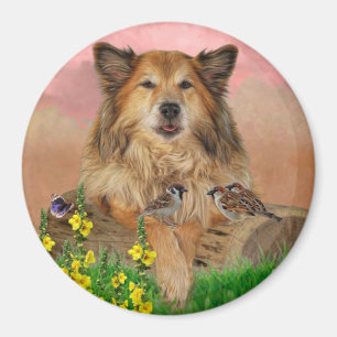 Aimant Matériau de souris