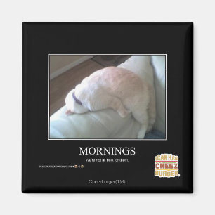 Aimant Matins