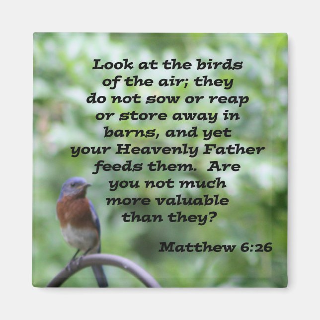 Aimant Matthieu 6:26 (Devant)