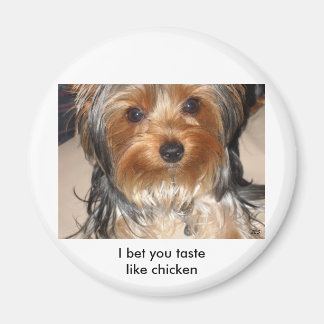 Aimant Mauvais chien