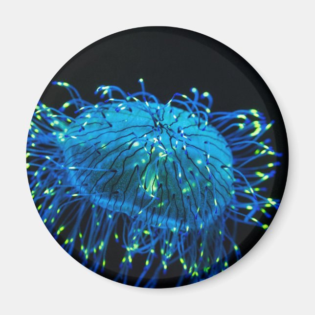 Aimant méduse bioluminescente (Devant)