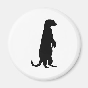 Aimant Meerkat