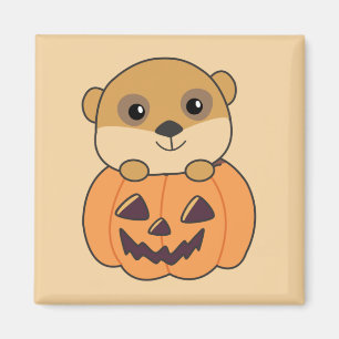 Aimant Meerkat En Citrouille Mets Animaux Heureux Hallowe