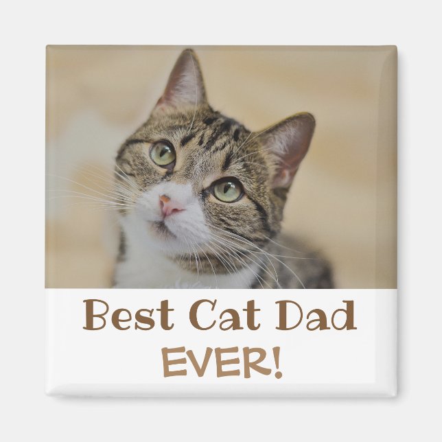 Aimant Meilleur Chat Papa Jamais Photo (Devant)