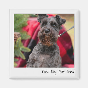 Aimant Meilleur Chien Maman Jamais Instantané Caméra Phot