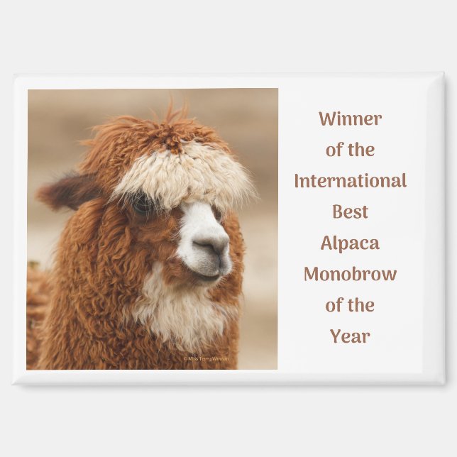 Aimant Meilleure Monobrow d'Alpaca (Recto)