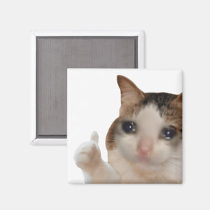 Aimant Mème Chat Pouce en l'air Ok