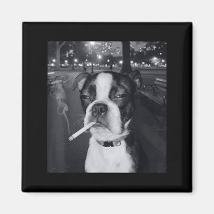 Aimant Mème de chien qui fume drôle Cigarette Mème de chi