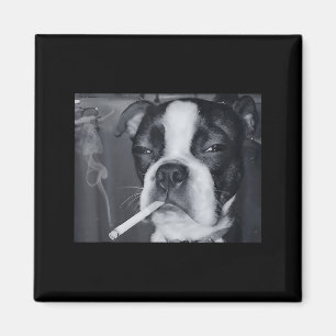 Aimant Mème de chien qui fume drôle Cigarette Mème de chi