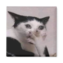Mème du chat haletant