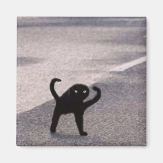 Aimant Mème du chat maudit