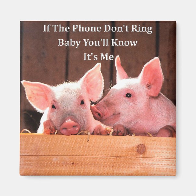 Aimant Mèmes de cochon amusants avec des paroles et des c (Devant)