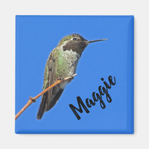 Aimant Merci Colibri Photo Nature Appréciation
