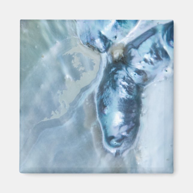 Aimant Mère perle malaisienne sauvage (Devant)