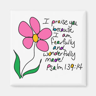 Aimant Merveilleusement Fabriqué