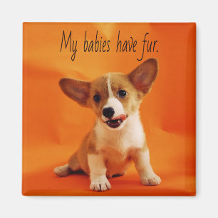 Aimant Mes bébés ont un chien à fourrure, de mignons chio