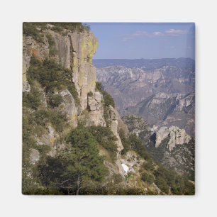Aimant Mexique, État de Chihuahua, Copper Canyon. CECI 2