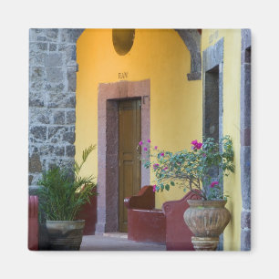 Aimant Mexique, San Miguel de Allende, Entrée de voûte