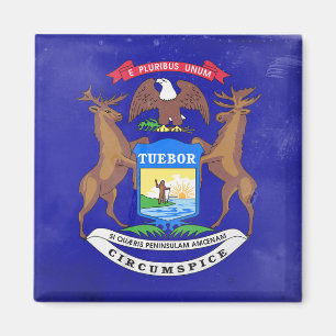 Aimant Michigan