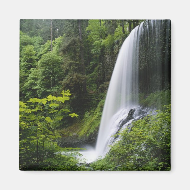 Aimant Middle North tombe, Silver Falls State Park, (Devant)