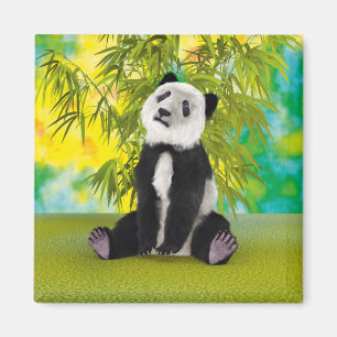 Aimant Mignon Ours Panda Kawaii Amoureux des Animaux Cade