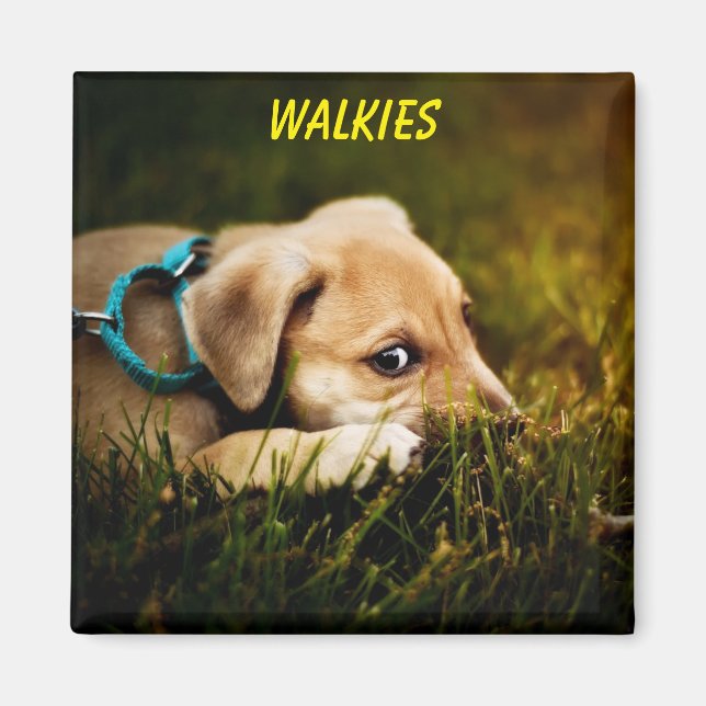 Aimant Mignonne Chien Chien Chien Chien Chien Gros (Devant)