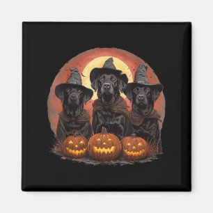 Aimant Mignons chiens Labrador Retriever noirs Halloween