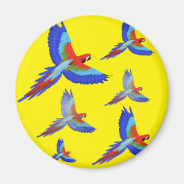 Aimant Mikitiez perroquet hawaii été coucher de soleil pr