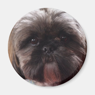 Aimant Millie aimnet