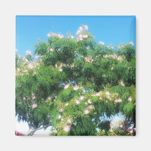 Aimant Mimosa Tree
