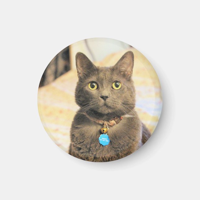 Aimant Mims (Devant)