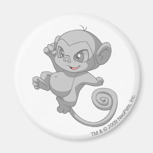 Aimant Minci Silver