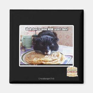 Aimant Mine maintenant