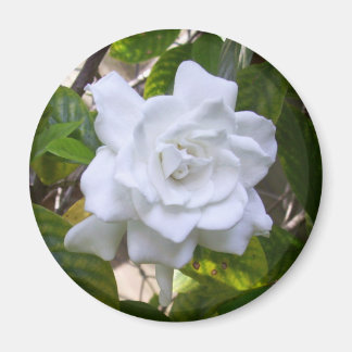 Aimant Mini Art Gardenia
