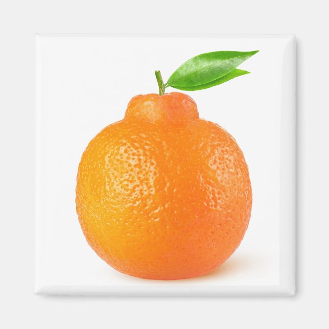 Aimant Minneola tangelo agrumes (Devant)