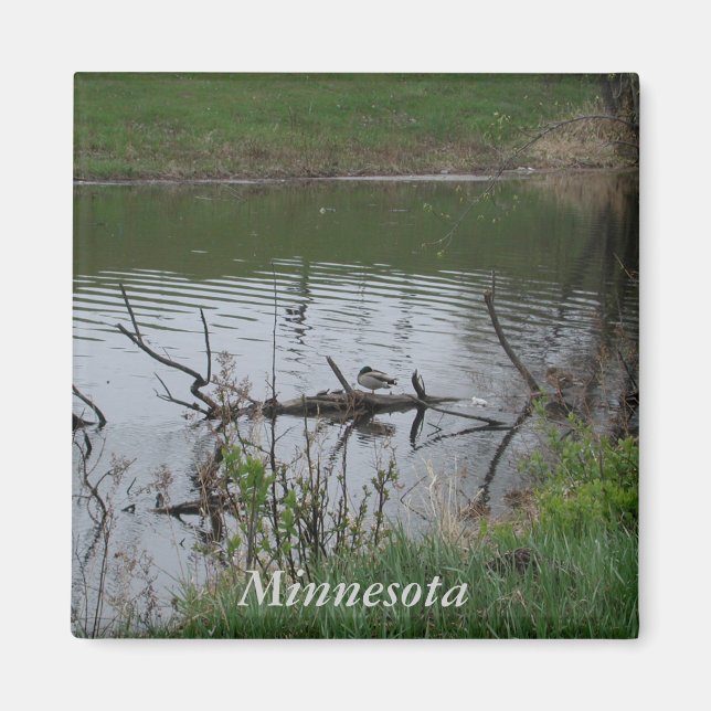 Aimant Minnesota (Devant)