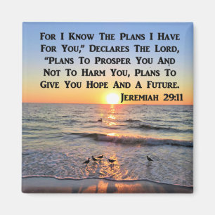 AIMANT MISE EN LIGNE DE JEREMIAH 29:11 SCELER