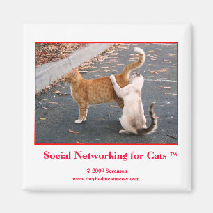 Aimant Mise en réseau sociale pour l'aimant de chats