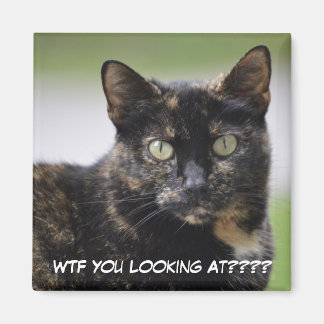 Aimant Mme Sweetpea la Tortie