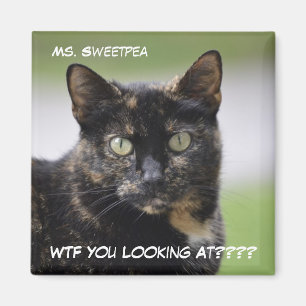 Aimant Mme Sweetpea la Tortie