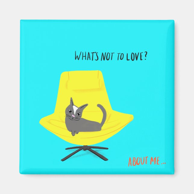 Aimant Mod Cats - What's Not to Love ? (Devant)