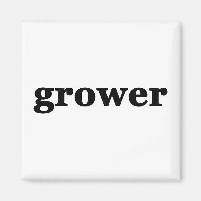 AIMANT MODÈLE (Devant)