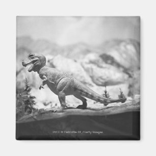 Aimant Modèle du rex B&W de tyrannosaurus