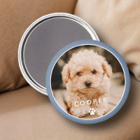 Moderne Simple Jouer Élégant Chic Paw Pet Photo