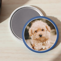 Moderne Simple Jouer Élégant Chic Paw Pet Photo